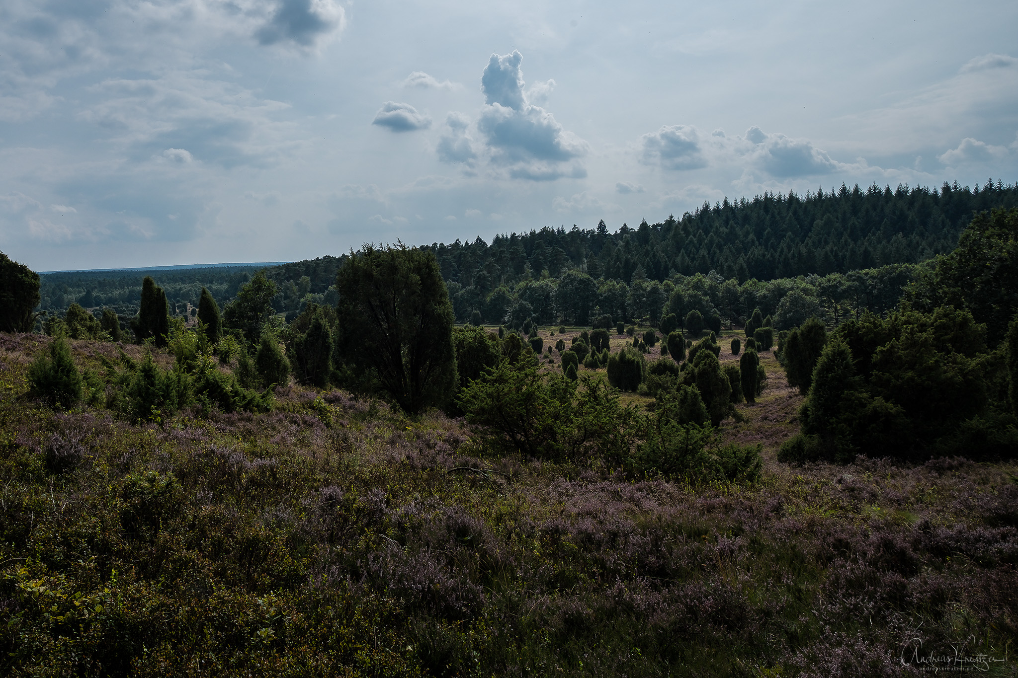 DSCF2937-Bearbeitet.jpg
