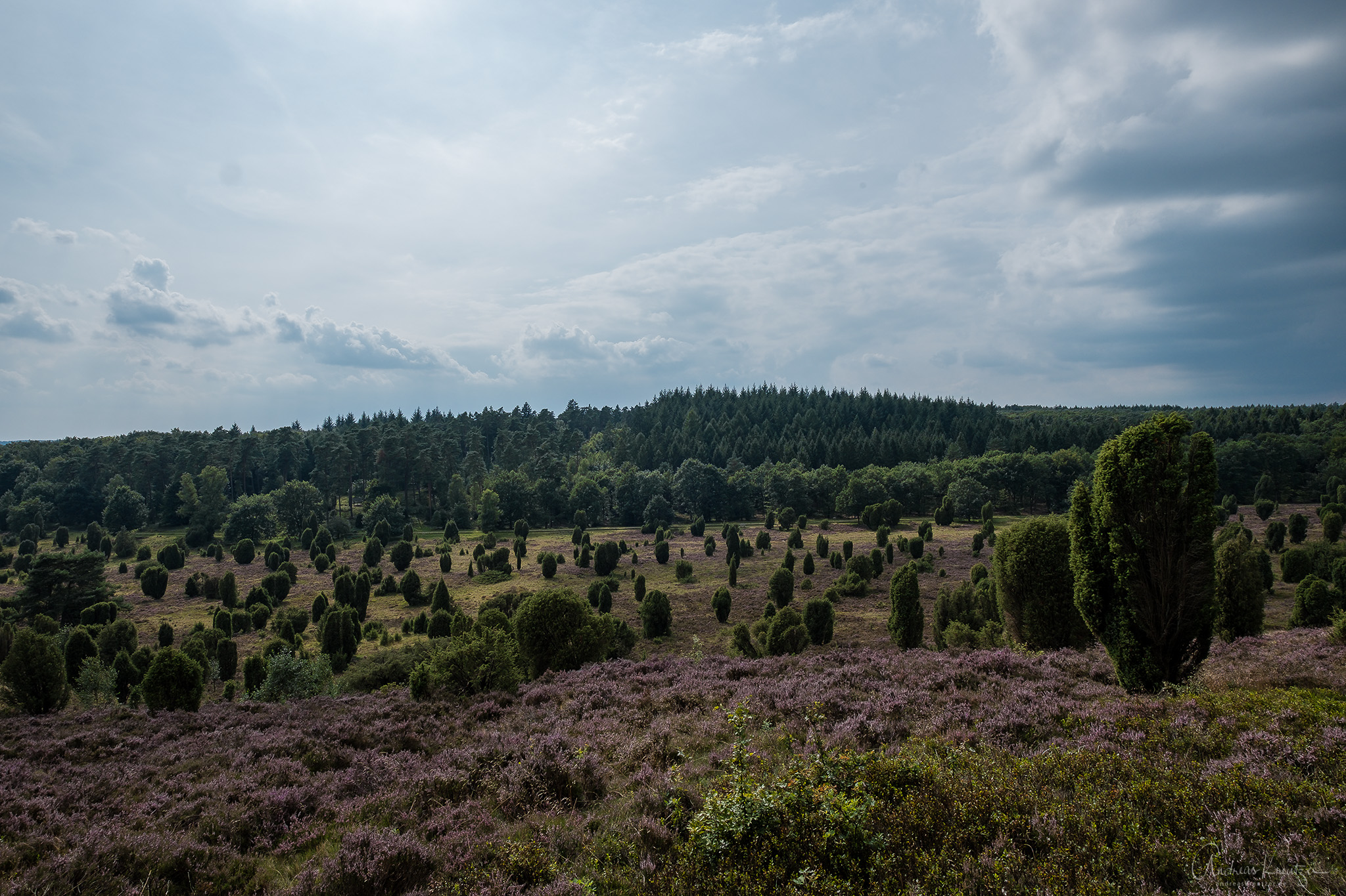 DSCF2945-Bearbeitet.jpg