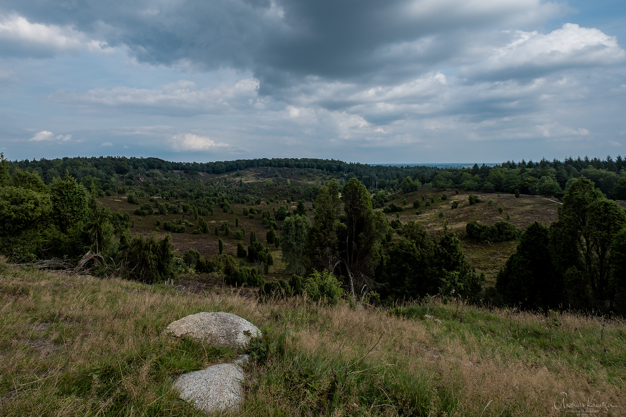 DSCF2956-Bearbeitet.jpg