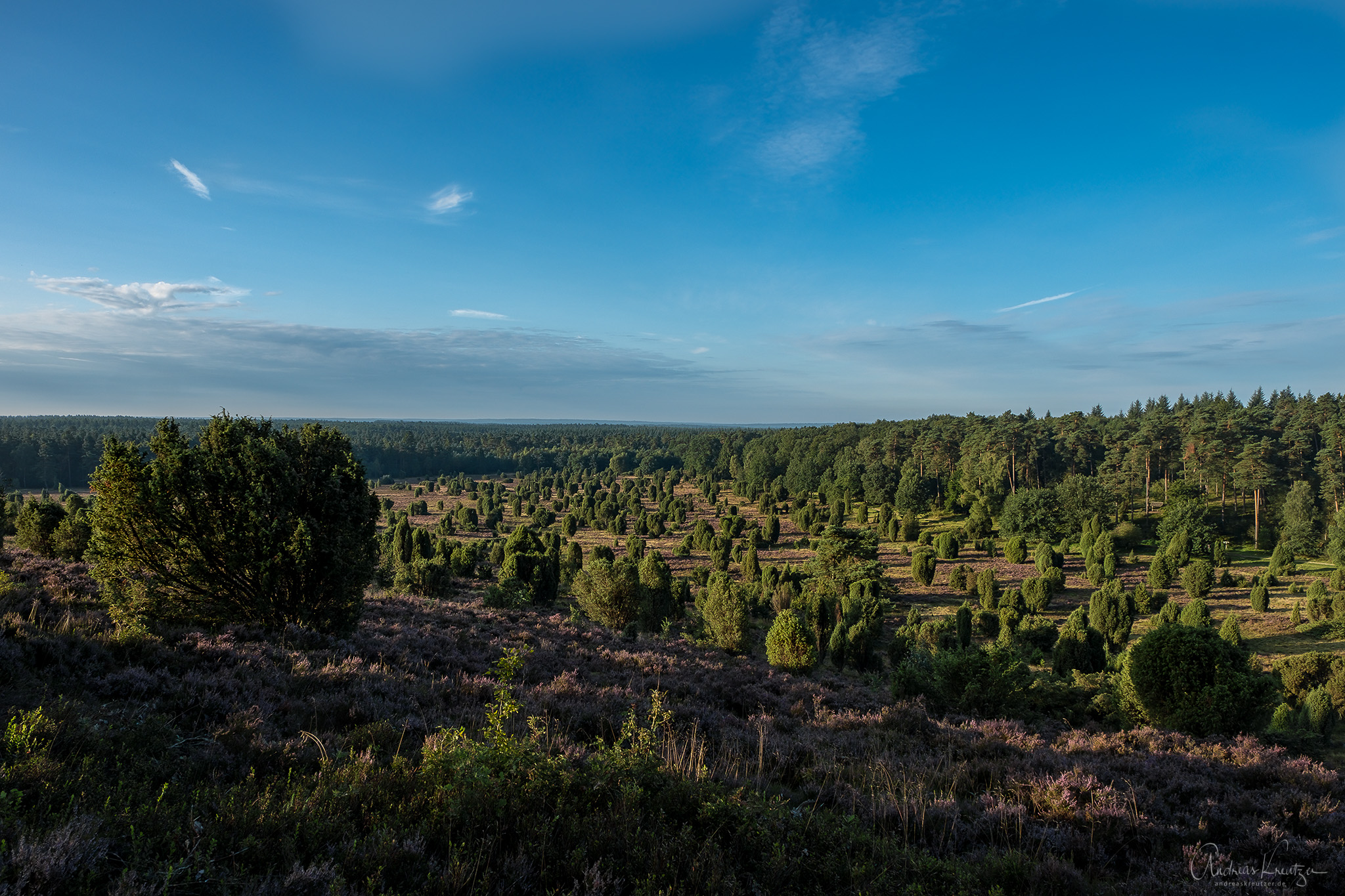 DSCF3238-Bearbeitet.jpg
