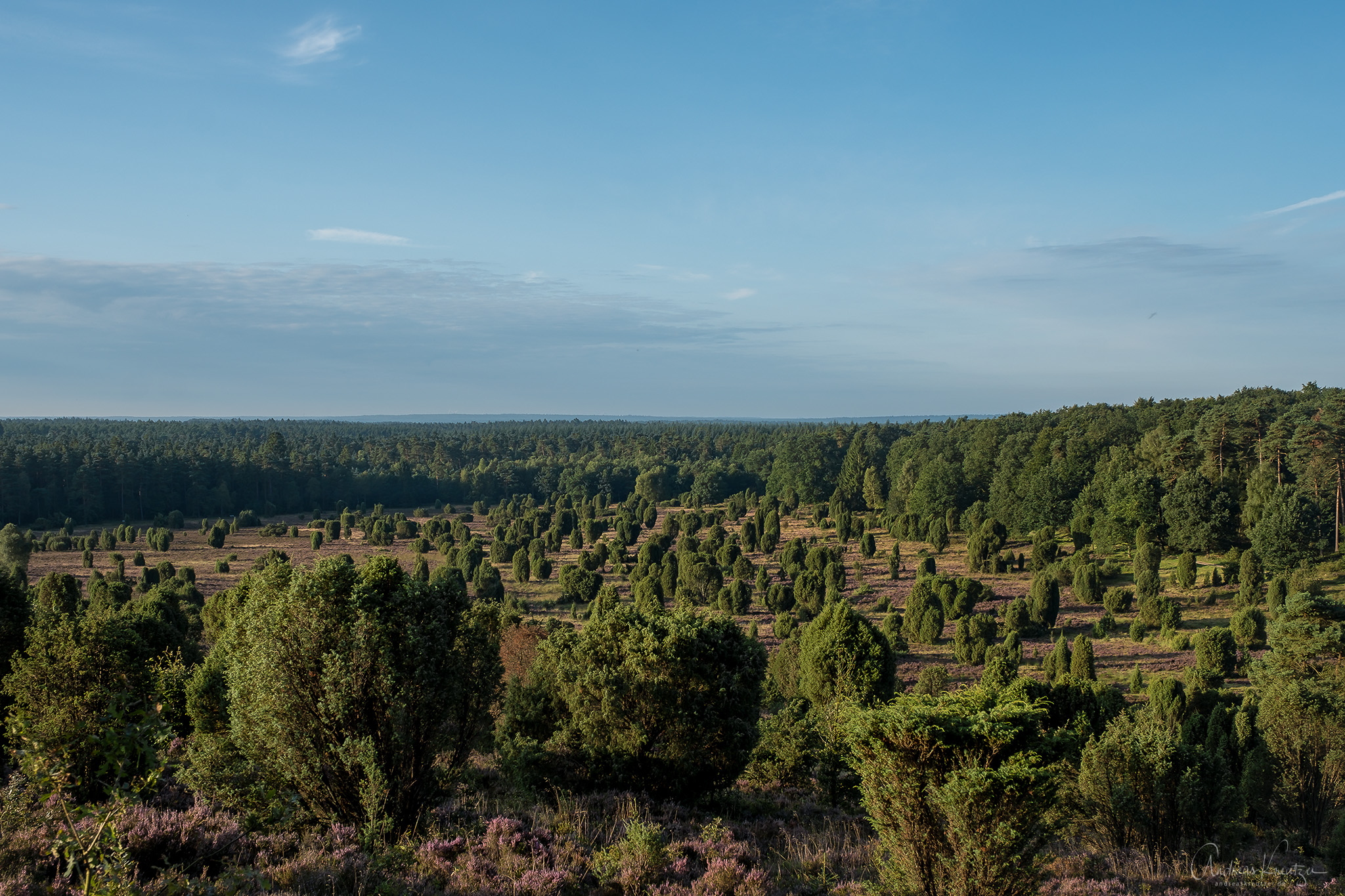 DSCF3242-Bearbeitet.jpg