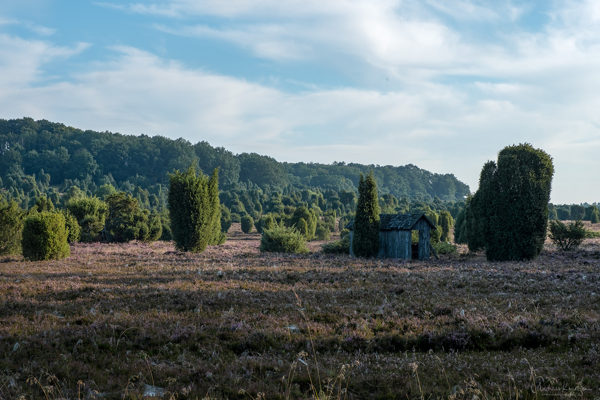DSCF3248-Bearbeitet.jpg