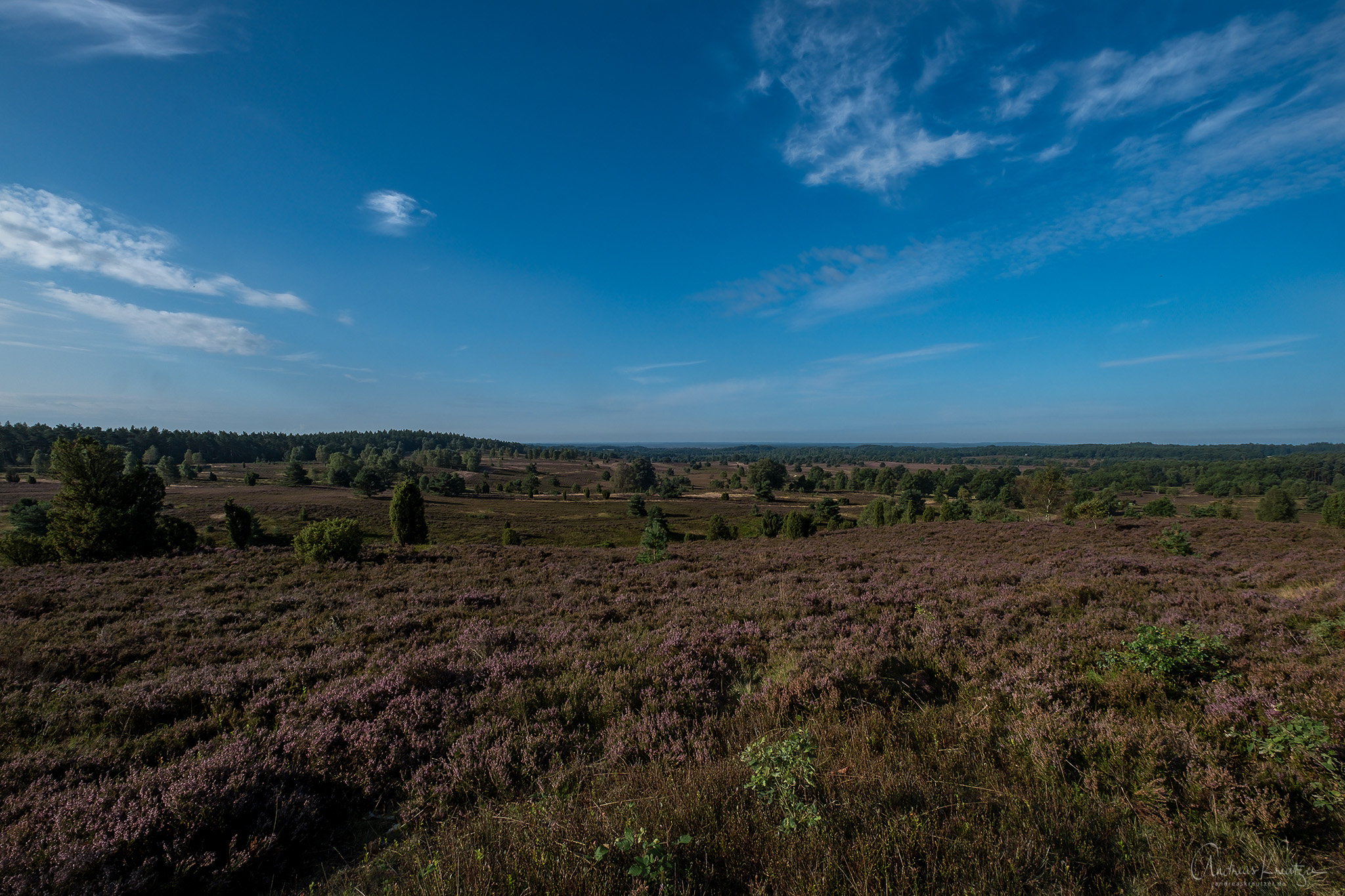 DSCF3253-Bearbeitet.jpg