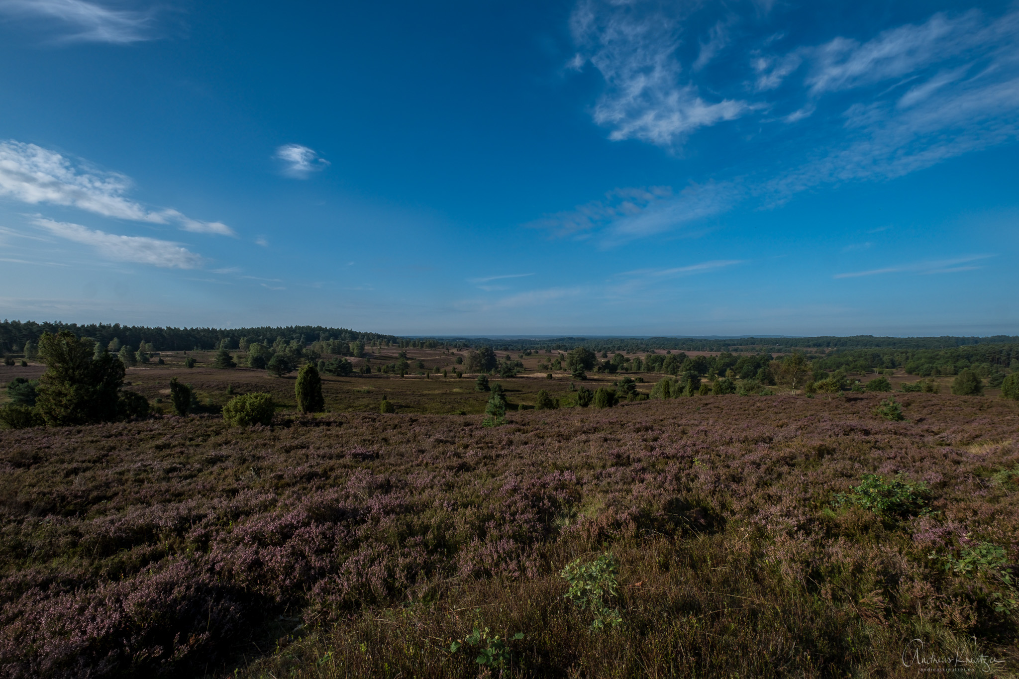 DSCF3253.jpg
