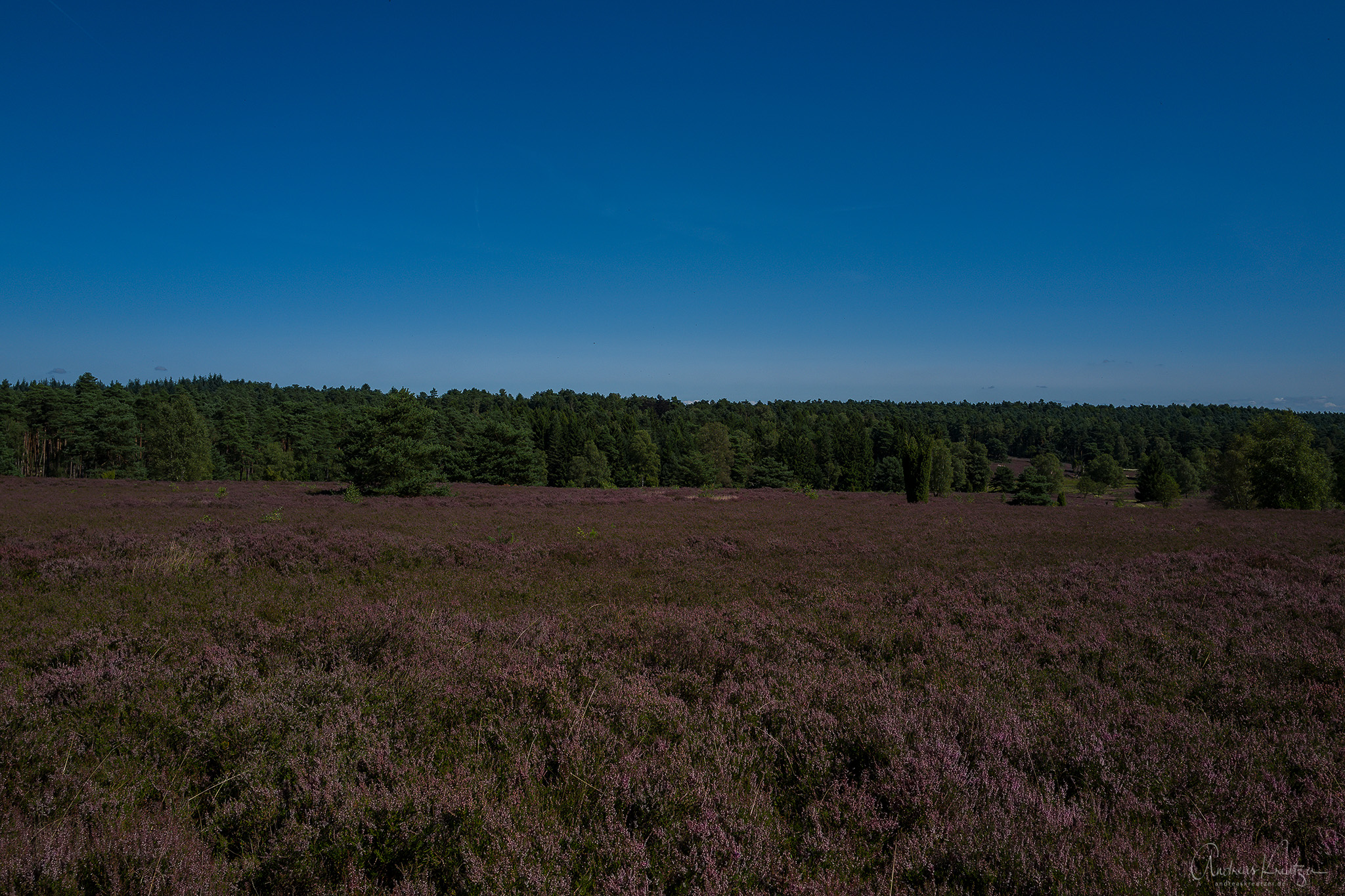L1030816-Bearbeitet.jpg