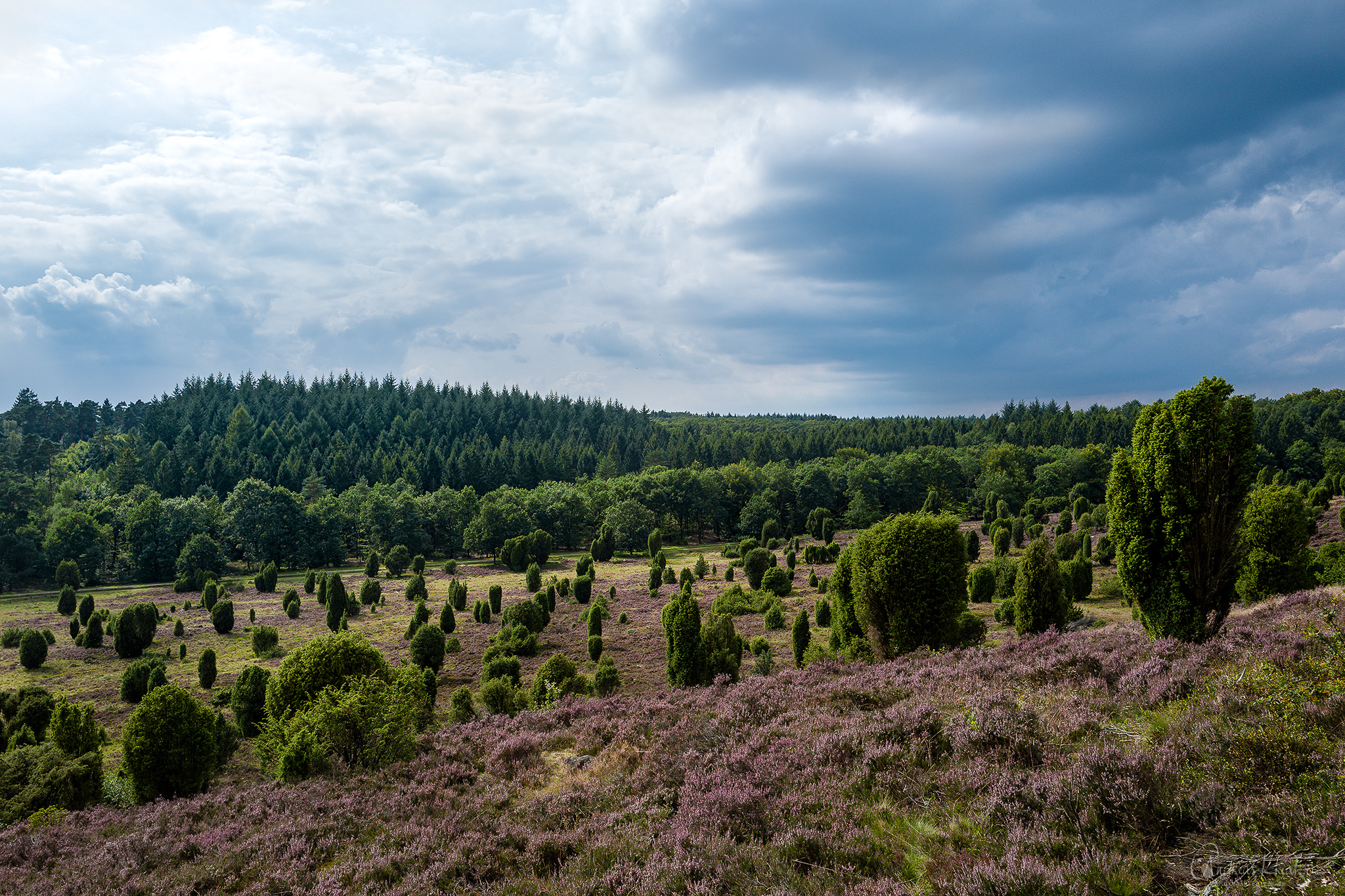 L1030846-Bearbeitet.jpg