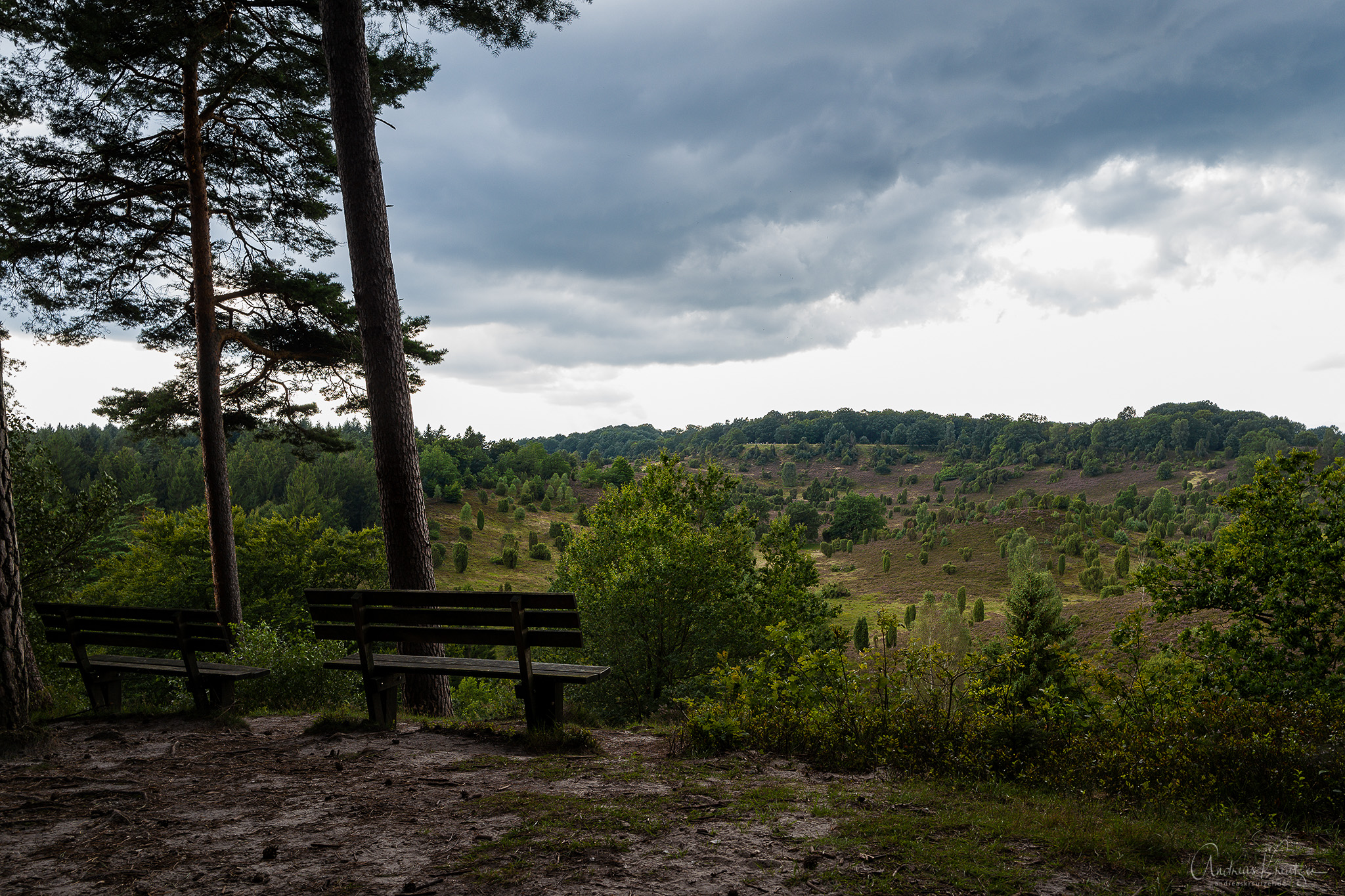 L1030878-Bearbeitet.jpg