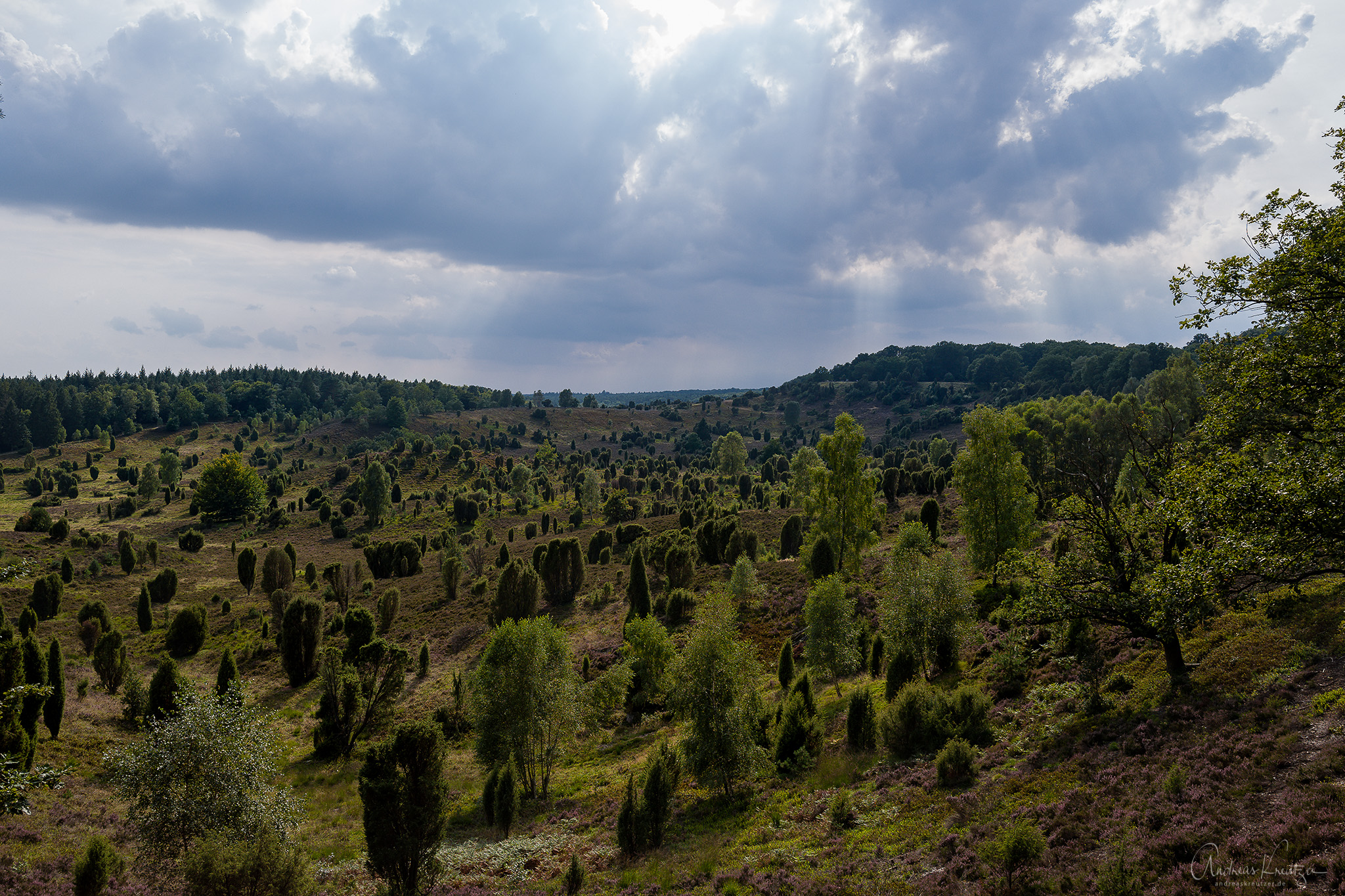 L1030895-Bearbeitet.jpg
