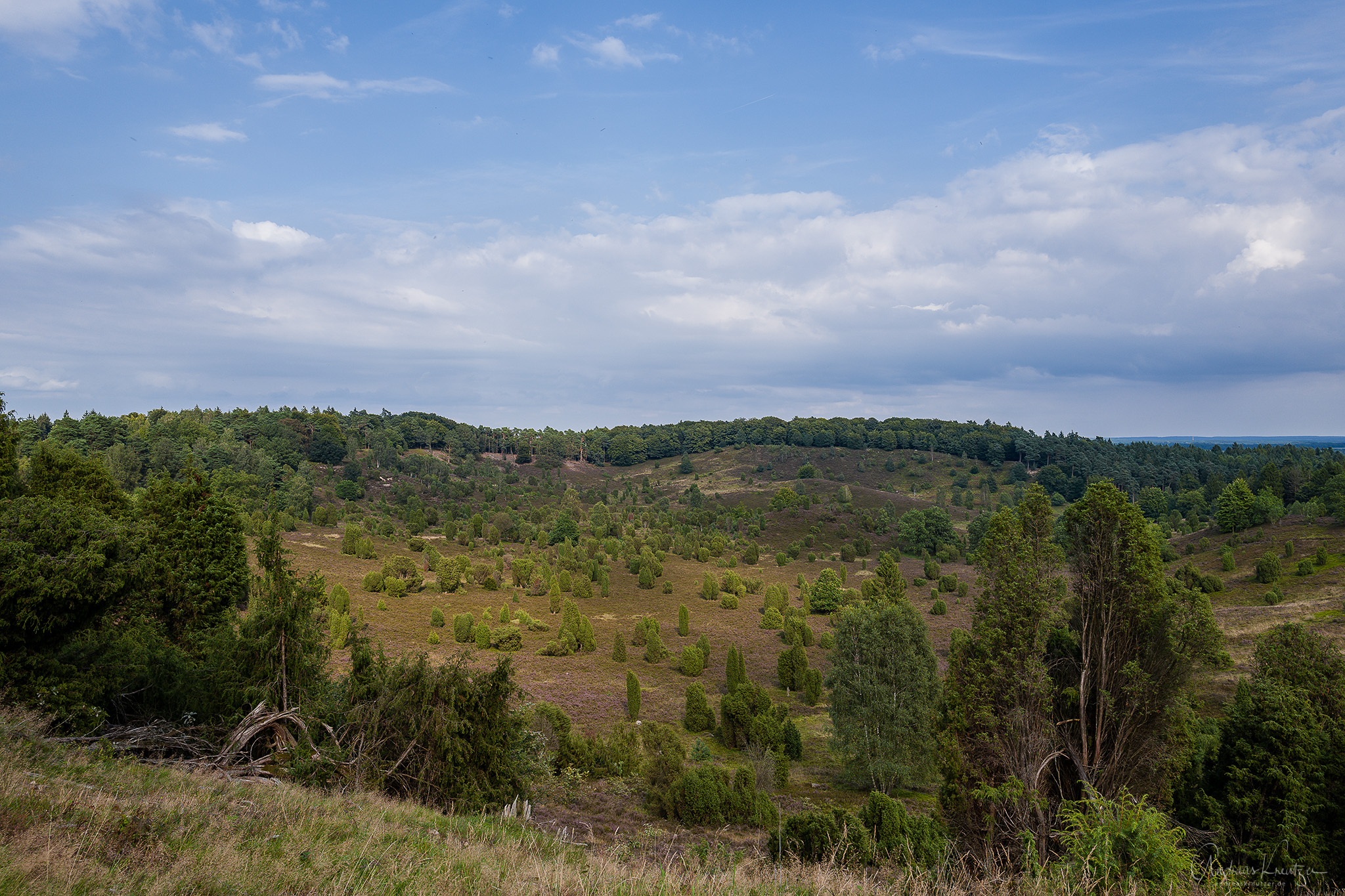 L1030902-Bearbeitet.jpg