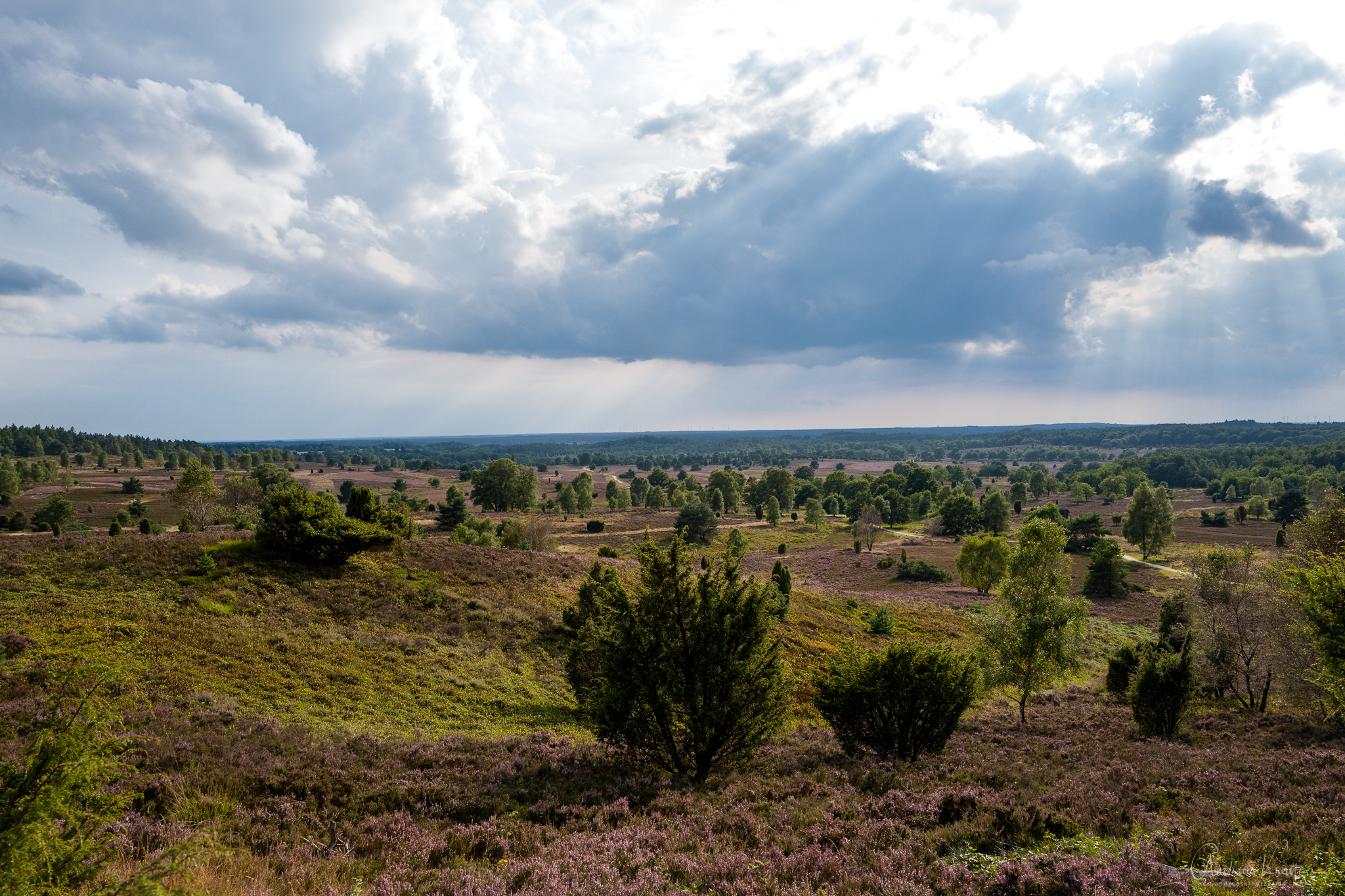 L1030916.jpg