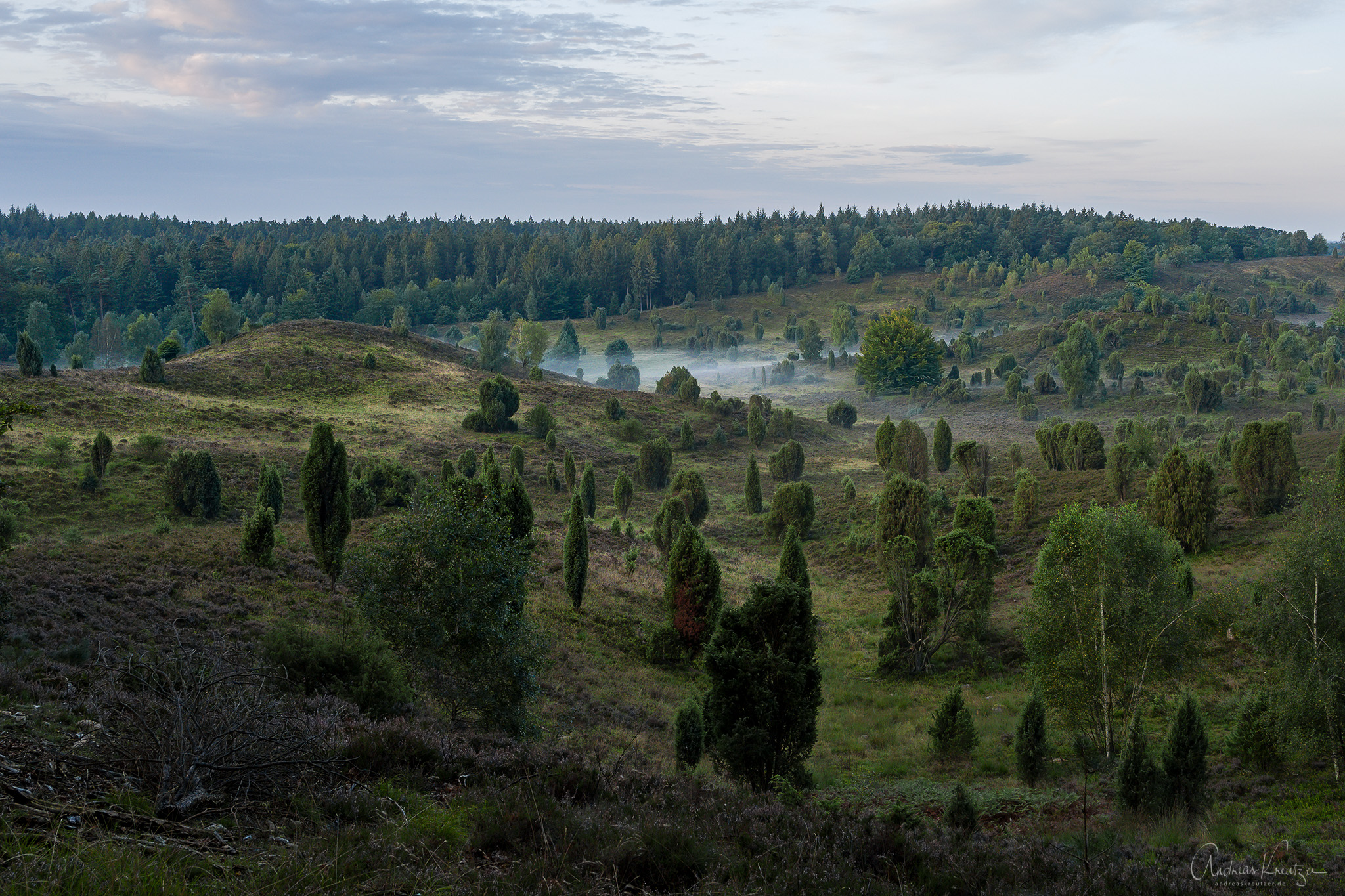L1030956-Bearbeitet.jpg