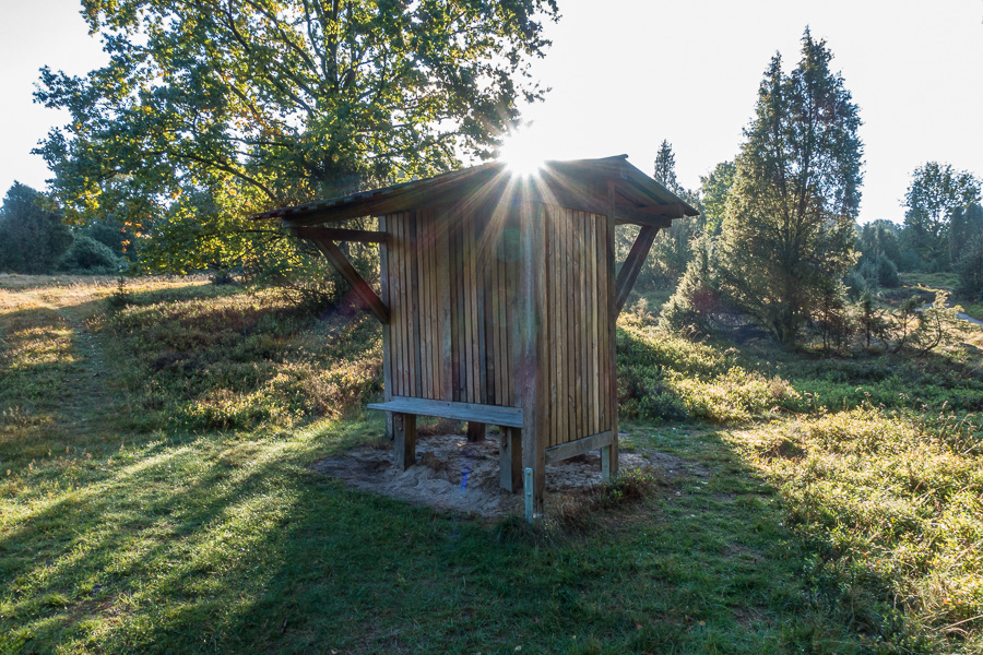 DSC02559.jpg DSC02559.jpg