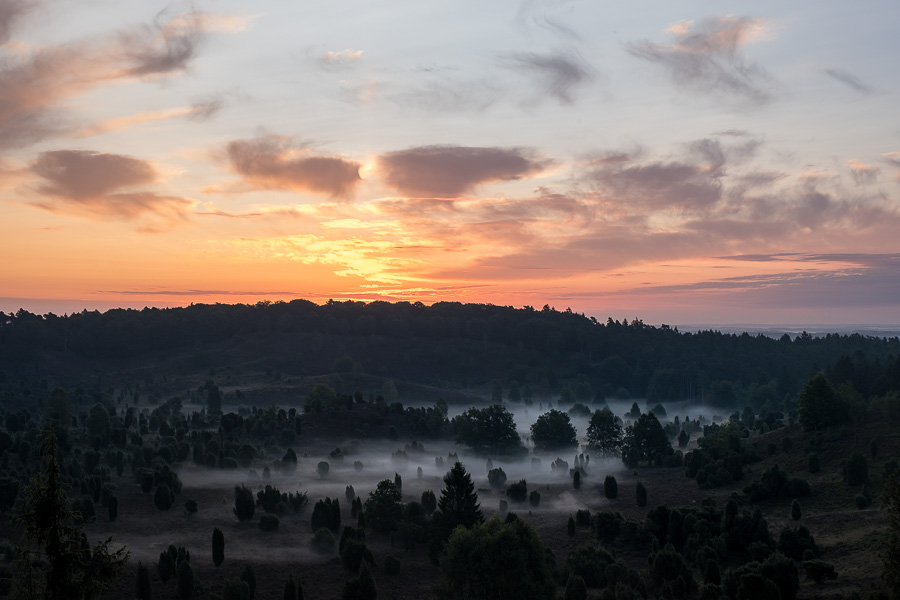 Totengrund in der Lüneburger Heide beim Sonnenaufgang DSCF3147-Bearbeitet.jpg