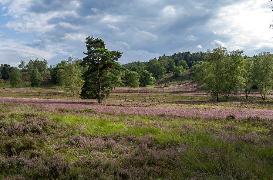 L1030245-Bearbeitet.jpg