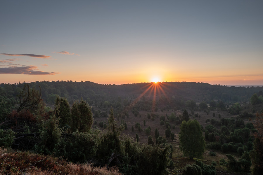 Sonnenaufgang am Totengrund in der Lüneburger Heide L1030626.jpg