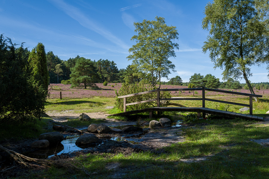 L1030771-Bearbeitet.jpg