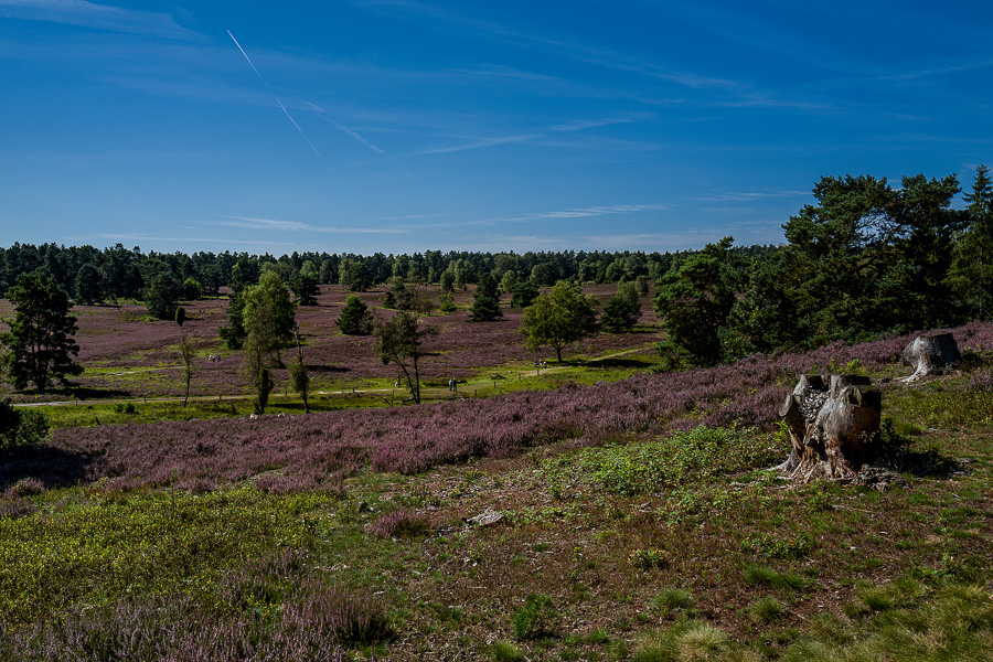 L1030776-Bearbeitet.jpg