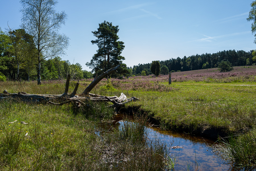 L1030790-Bearbeitet.jpg