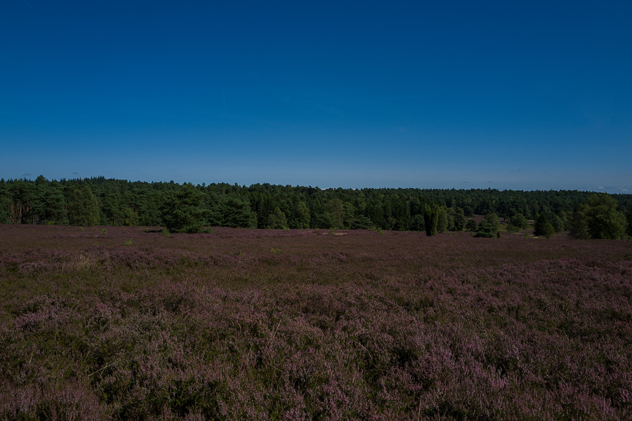 L1030816-Bearbeitet.jpg