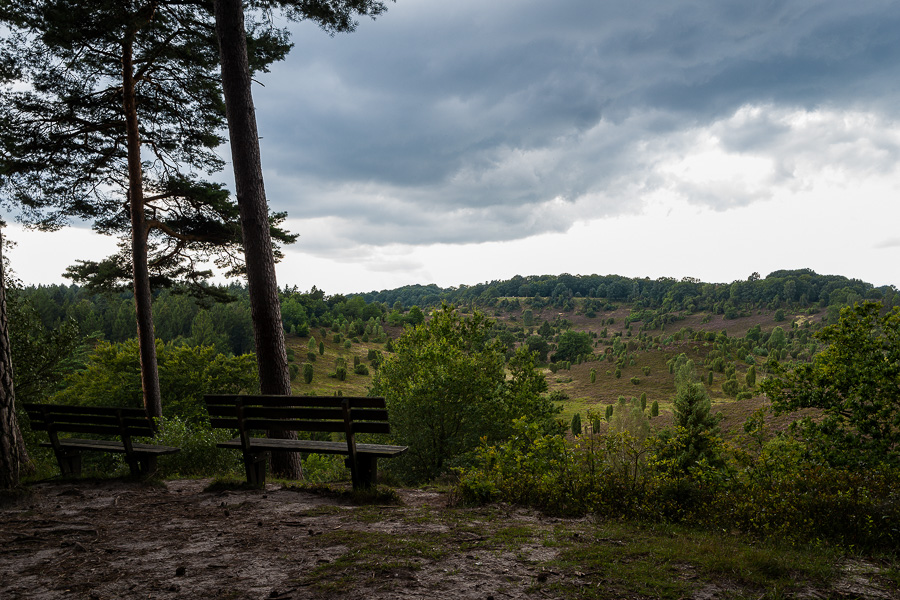 Totengrund in der Lüneburger Heide L1030878-Bearbeitet.jpg