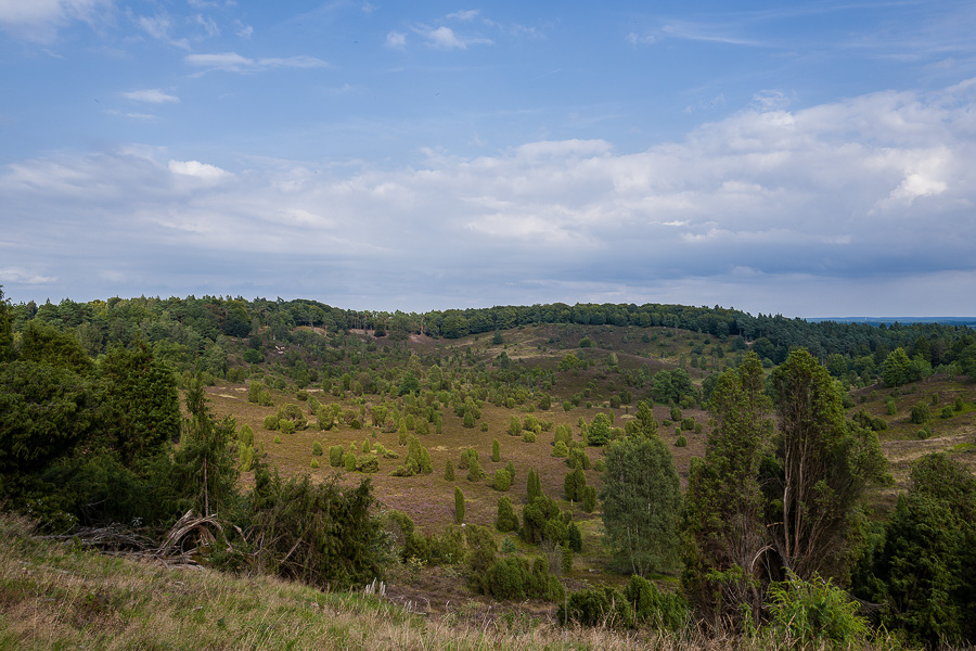 Totengrund in der Lüneburger Heide L1030902-Bearbeitet.jpg