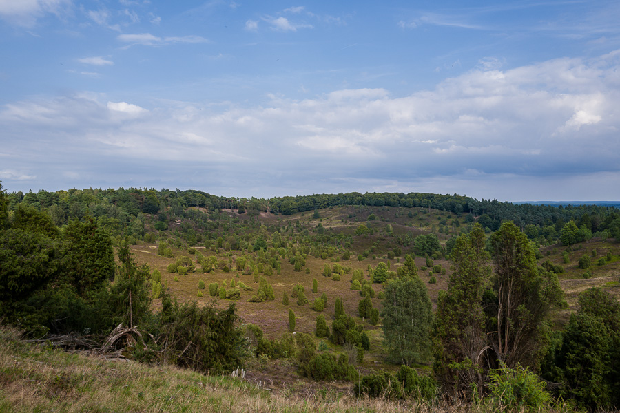 Totengrund in der Lüneburger Heide L1030902.jpg