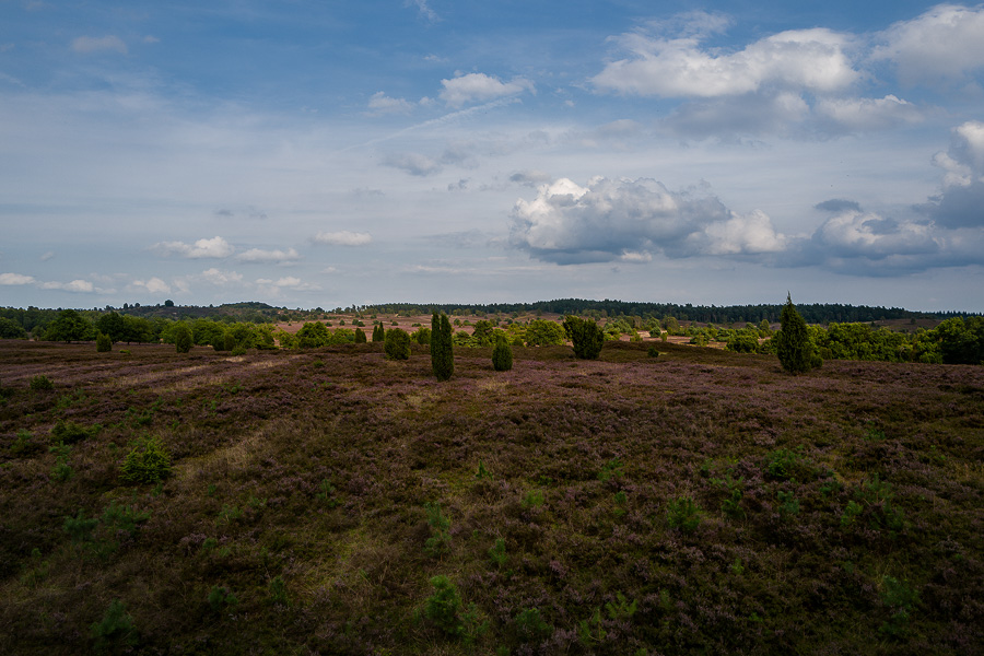 Blick von der Aussichtsplattform Fürstengrab auf die Heide L1030921-Bearbeitet.jpg