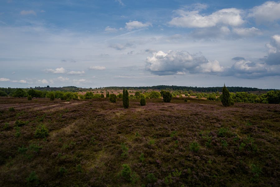 Blick von der Aussichtsplattform Fürstengrab auf die Heide L1030921.jpg