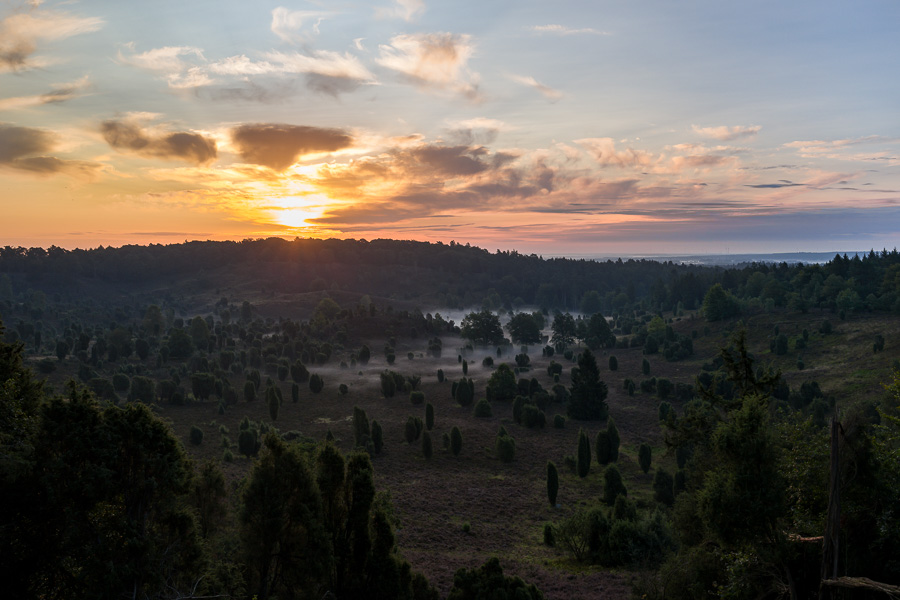 Totengrund in der Lüneburger Heide beim Sonnenaufgang L1030950.jpg