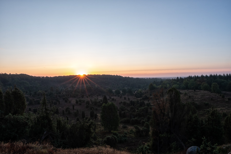 Sonnenaufgang am Totengrund in der Lüneburger Heide X2178988-Bearbeitet.jpg