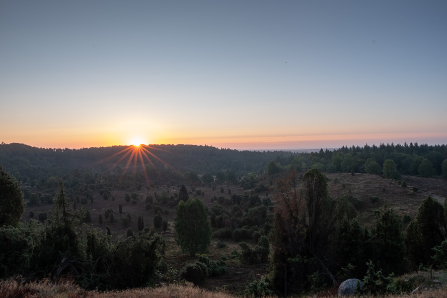 Sonnenaufgang am Totengrund in der Lüneburger Heide X2178989.jpg