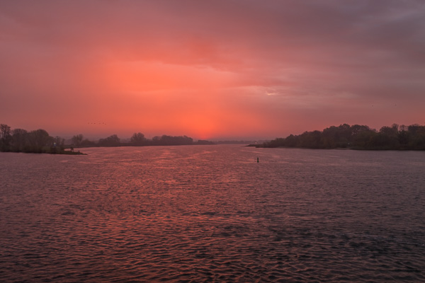 Sonnenaufgang an der Elbe DSCF0207.jpg