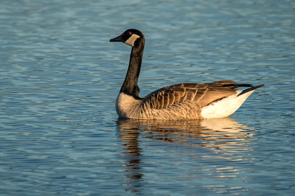 DSCF6895.jpg DSCF6895.jpg