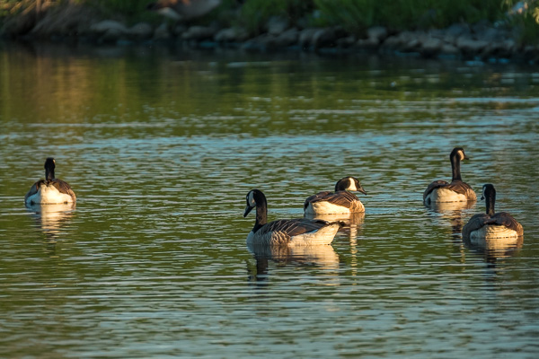 DSCF6900.jpg DSCF6900.jpg