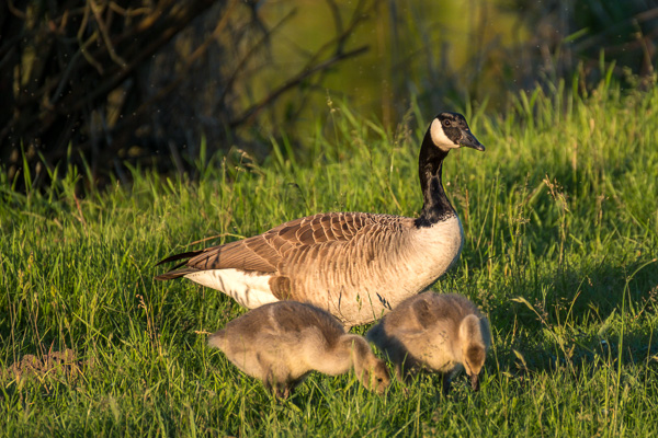 DSCF6925.jpg DSCF6925.jpg