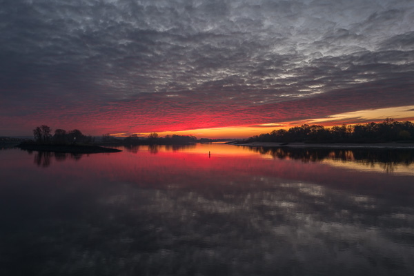 Sonnenaufgang an der Elbe L1030865.jpg
