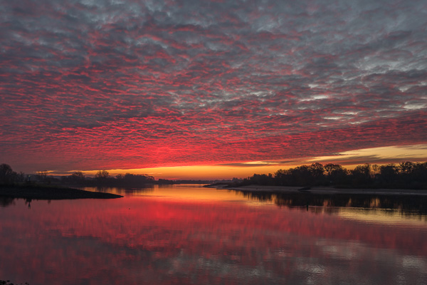 Sonnenaufgang an der Elbe L1030873.jpg