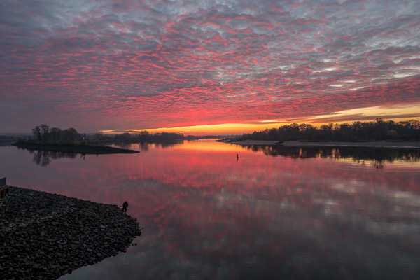 Sonnenaufgang an der Elbe L1030875.jpg