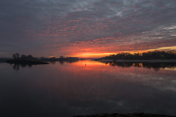 Sonnenaufgang an der Elbe L1030883.jpg