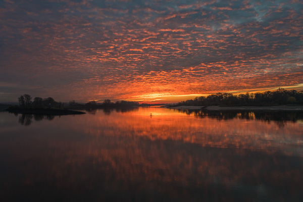 L1030886.jpg L1030886.jpg