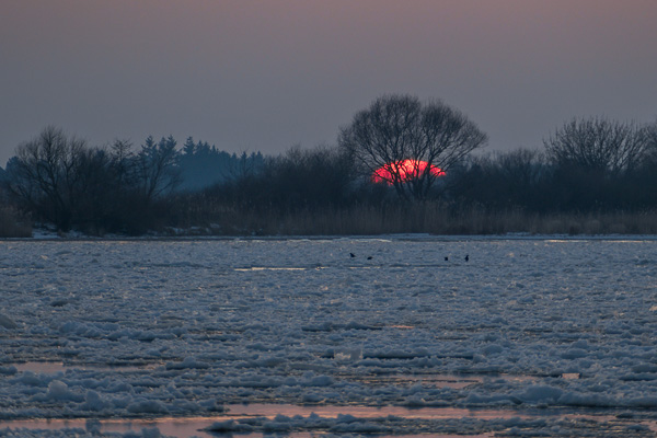 Sonnenuntergang an der Elbe P1390344.jpg