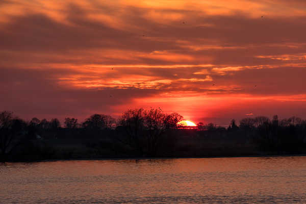 Sonnenuntergang an der Elbe X2179514.jpg
