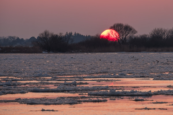 Sonnenuntergang an der Elbe X2179690.jpg