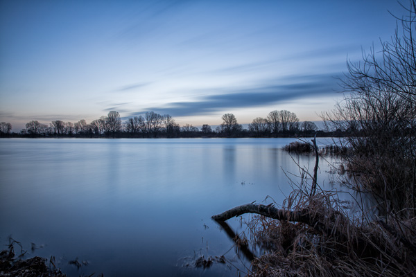 Morgens an der Elbe VIII ZN5A6375-Bearbeitet.jpg