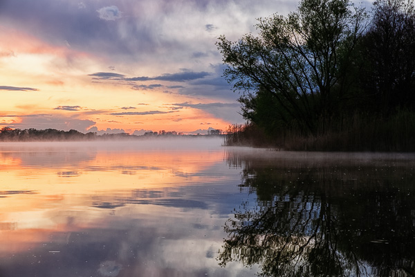 Nebel auf der Elbe III _DSF2253-Bearbeitet.jpg