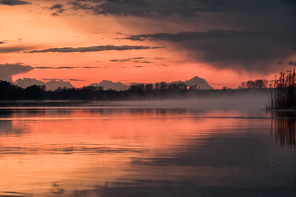 Nebel auf der Elbe V _DSF2263-Bearbeitet.jpg