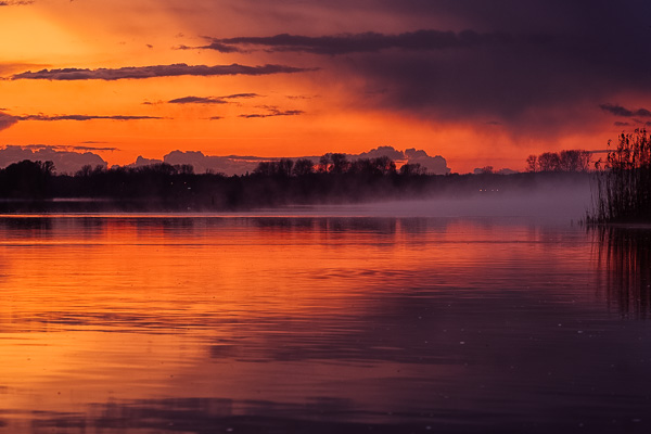 Nebel auf der Elbe I _DSF2269-Bearbeitet.jpg