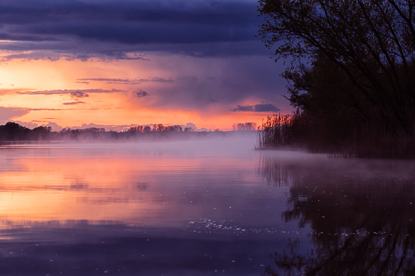 Nebel auf der Elbe II _DSF2278-Bearbeitet.jpg