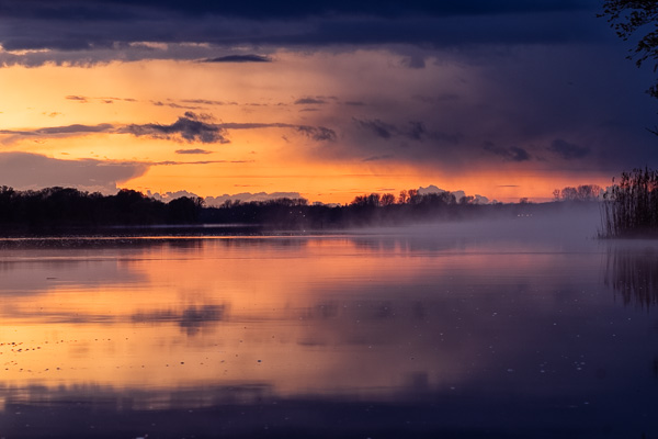 Nebel auf der Elbe III _DSF2288-Bearbeitet.jpg