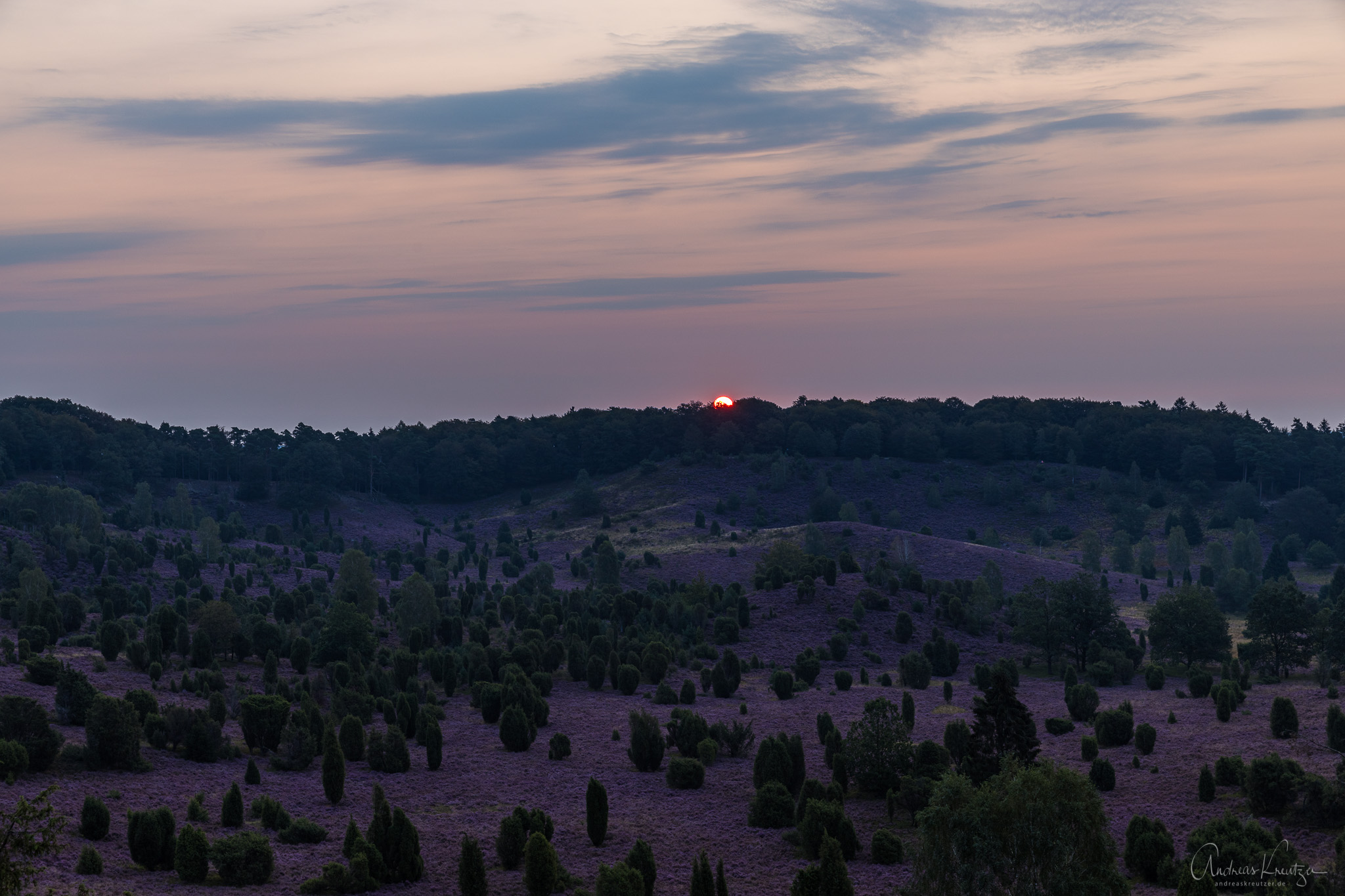 Lueneburger_Heide_081A3259.jpg